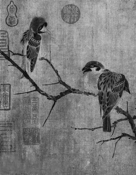 黑白－鳥1_副本_副本